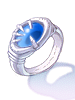 Expedition Ring [1]