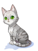 [Costume] American Shorthair Cat